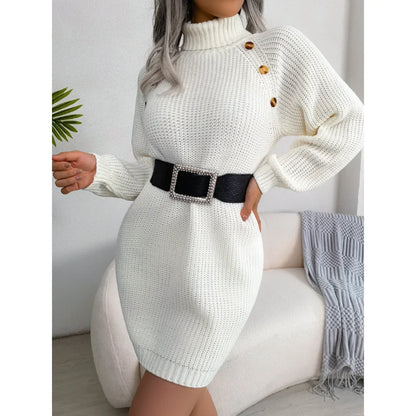 Autumn / Winter Woven Turtleneck Dress