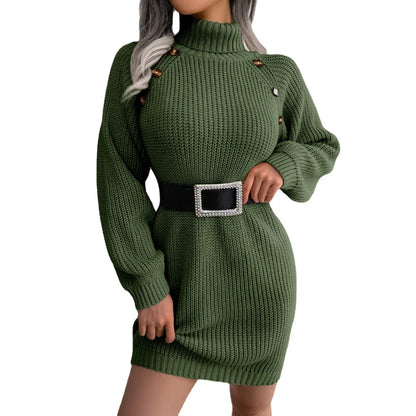 Autumn / Winter Woven Turtleneck Dress